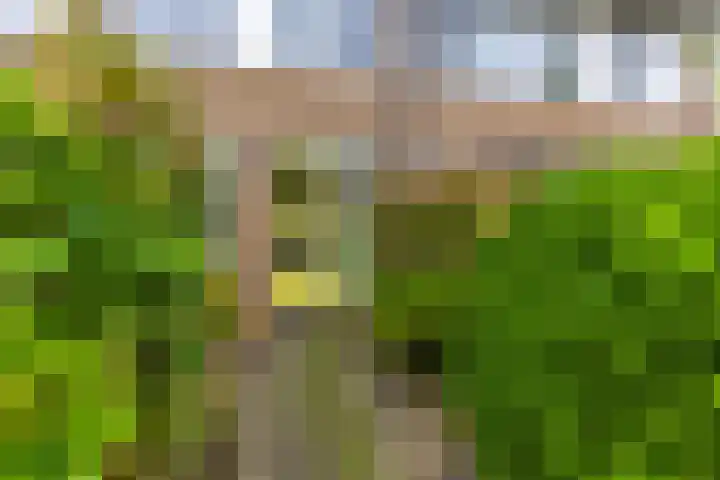 Capellastraat 2 Groningen thumbnail 8