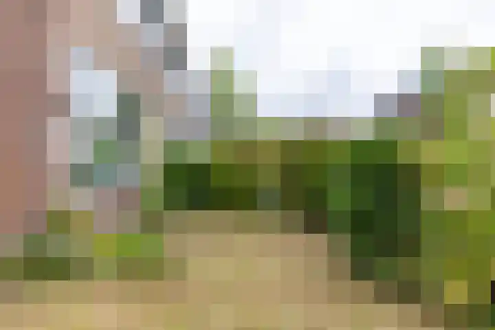 Capellastraat 2 Groningen thumbnail 9