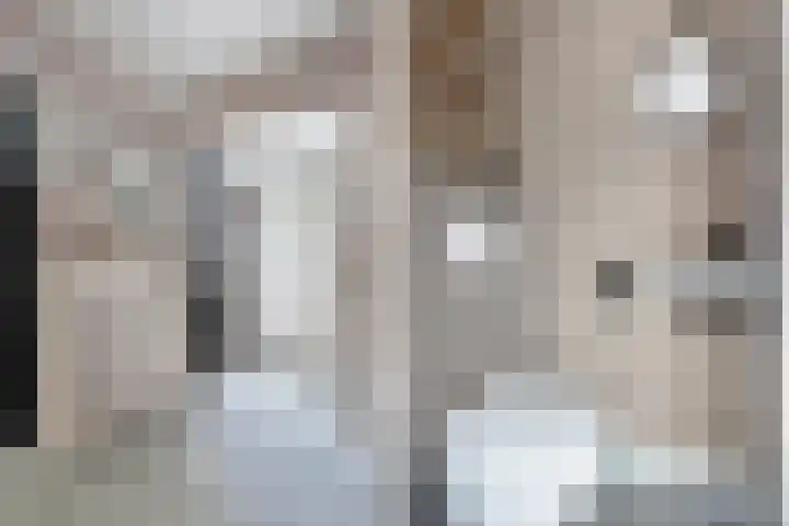 Capellastraat 34 Emmeloord thumbnail 11