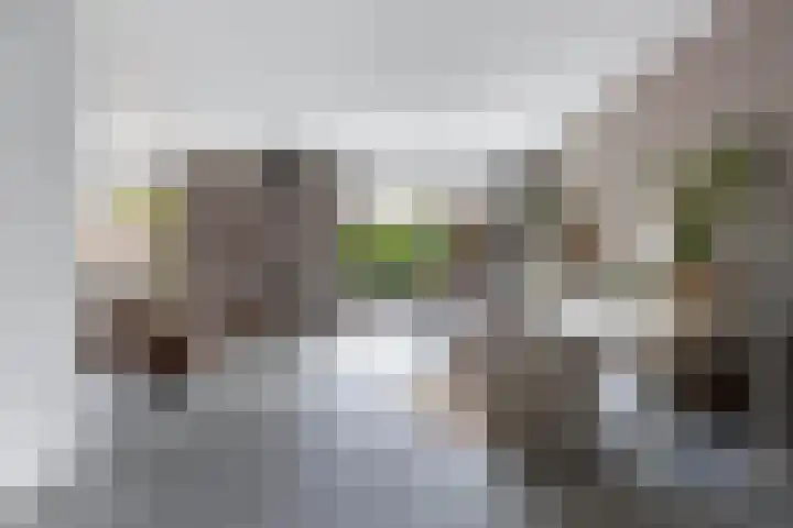 Capellastraat 34 Emmeloord thumbnail 12