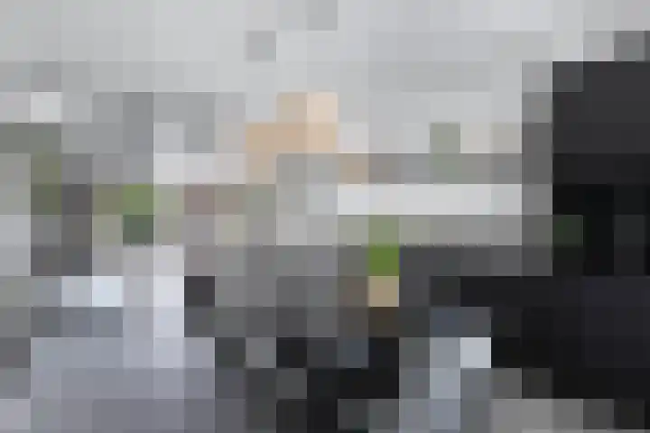 Capellastraat 34 Emmeloord thumbnail 24