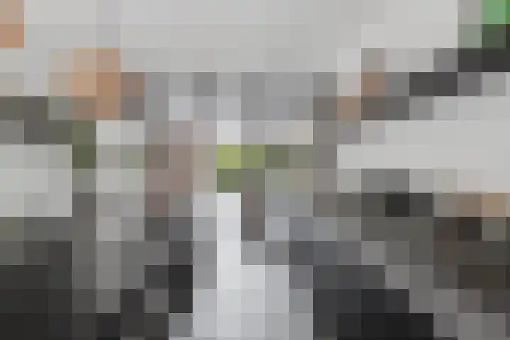 Capellastraat 34 Emmeloord thumbnail 27