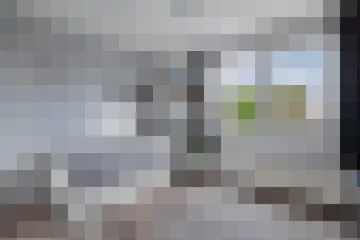 Capellastraat 34 Emmeloord thumbnail 41