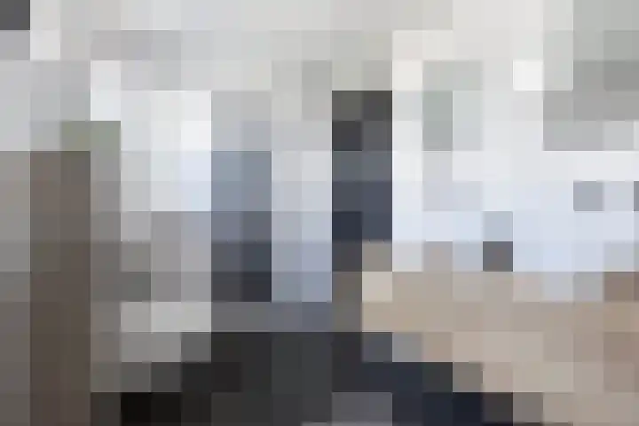 Capellastraat 34 Emmeloord thumbnail 49