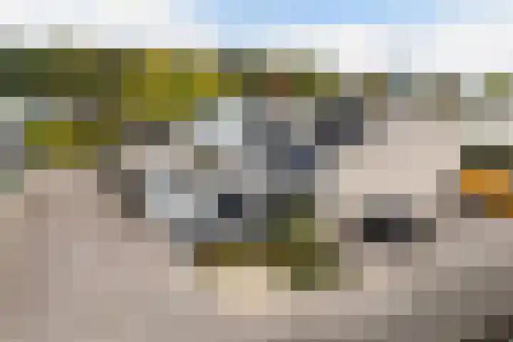 Capellastraat 34 Emmeloord thumbnail 8