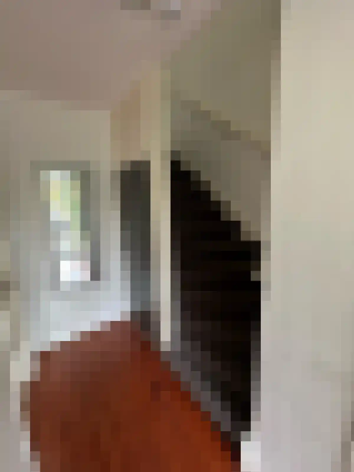 Capellastraat 46 Groningen thumbnail 4