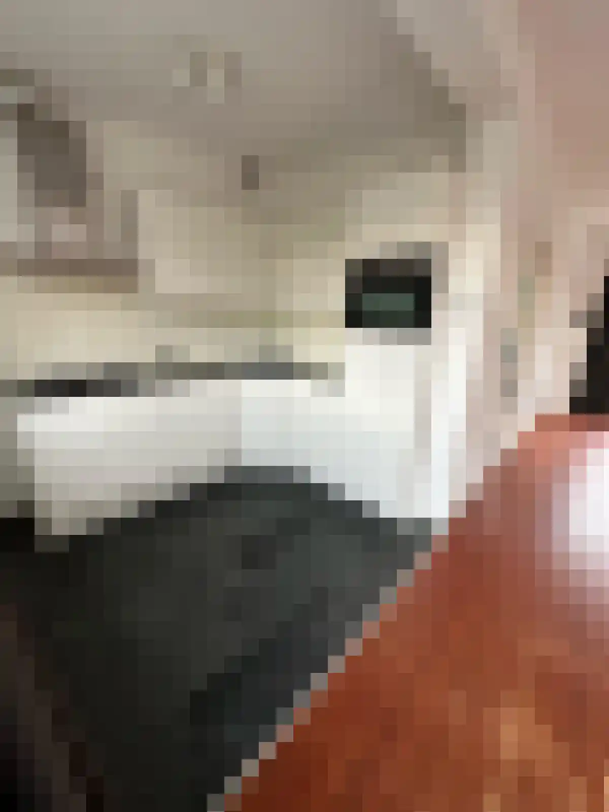 Capellastraat 46 Groningen thumbnail 6