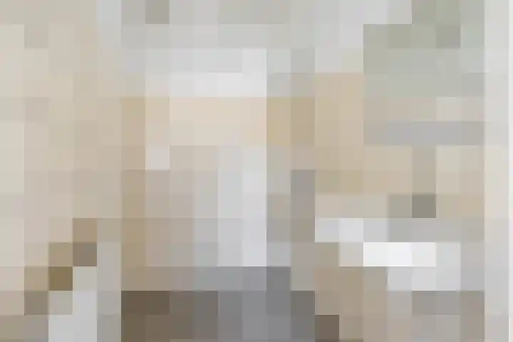 Capellastraat 48 Groningen thumbnail 31