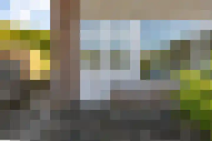 Capellastraat 48 Groningen thumbnail 38