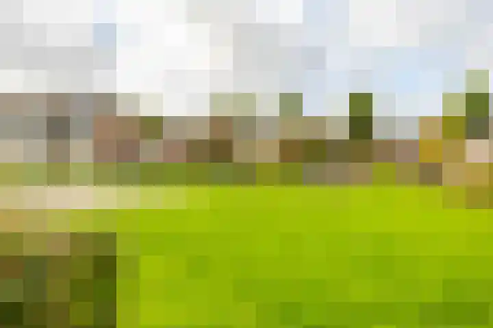 Capellastraat 48 Groningen thumbnail 43