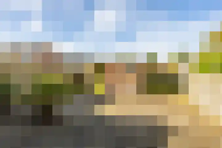 Capellastraat 48 Groningen thumbnail 5