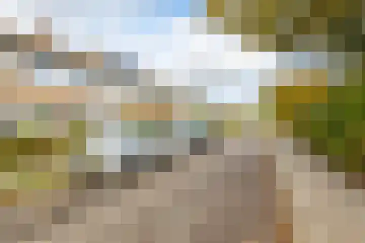 Capellastraat 48 Groningen thumbnail 8