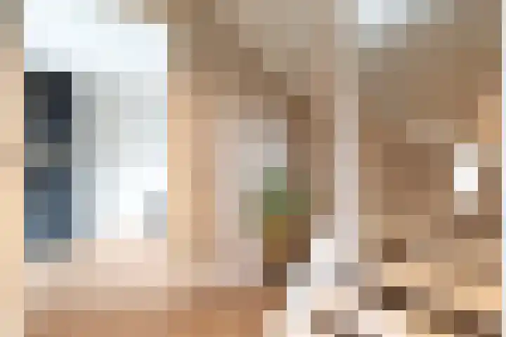 Capellastraat 8 De Krim thumbnail 10