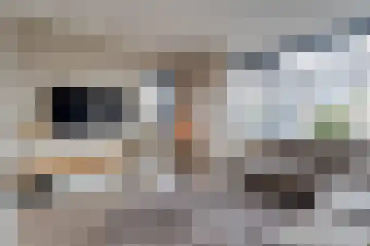 Capellastraat 8 De Krim thumbnail 13
