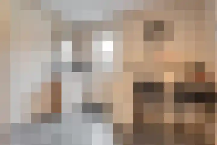 Capellastraat 8 De Krim thumbnail 22