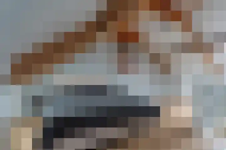 Capellastraat 8 De Krim thumbnail 37