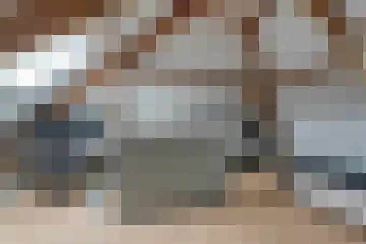 Capellastraat 8 De Krim thumbnail 38