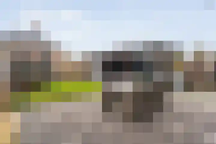Capellastraat 8 De Krim thumbnail 39