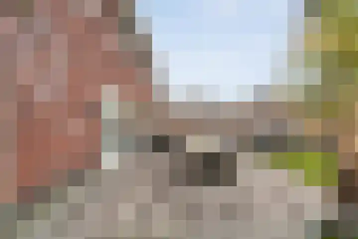 Capellastraat 8 De Krim thumbnail 41