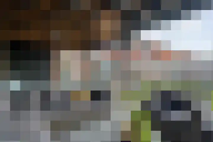 Capellastraat 8 De Krim thumbnail 45