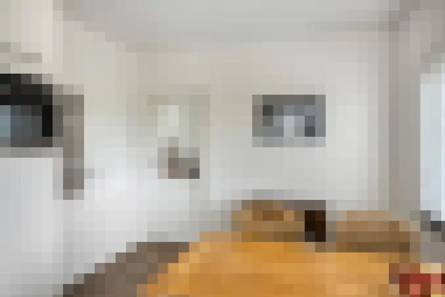 Capellegoedweg 3 Olburgen thumbnail 25