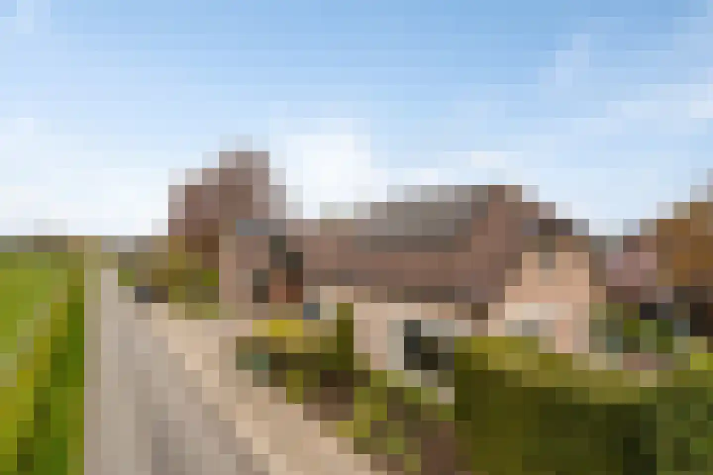 Capellegoedweg 3 Olburgen thumbnail 40