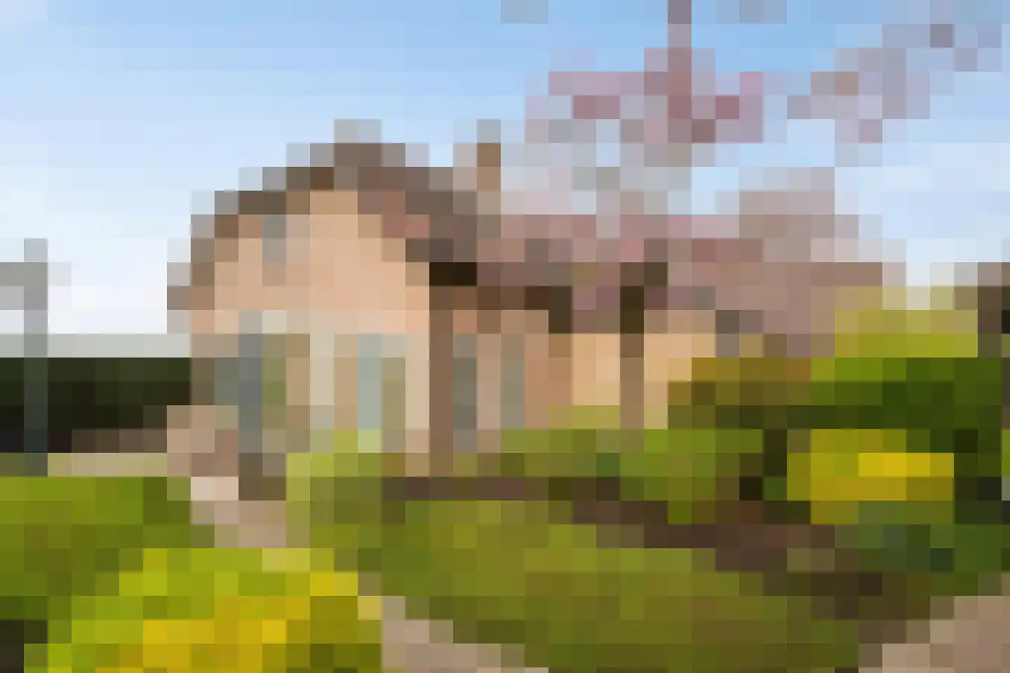 Capellegoedweg 3 Olburgen thumbnail 5
