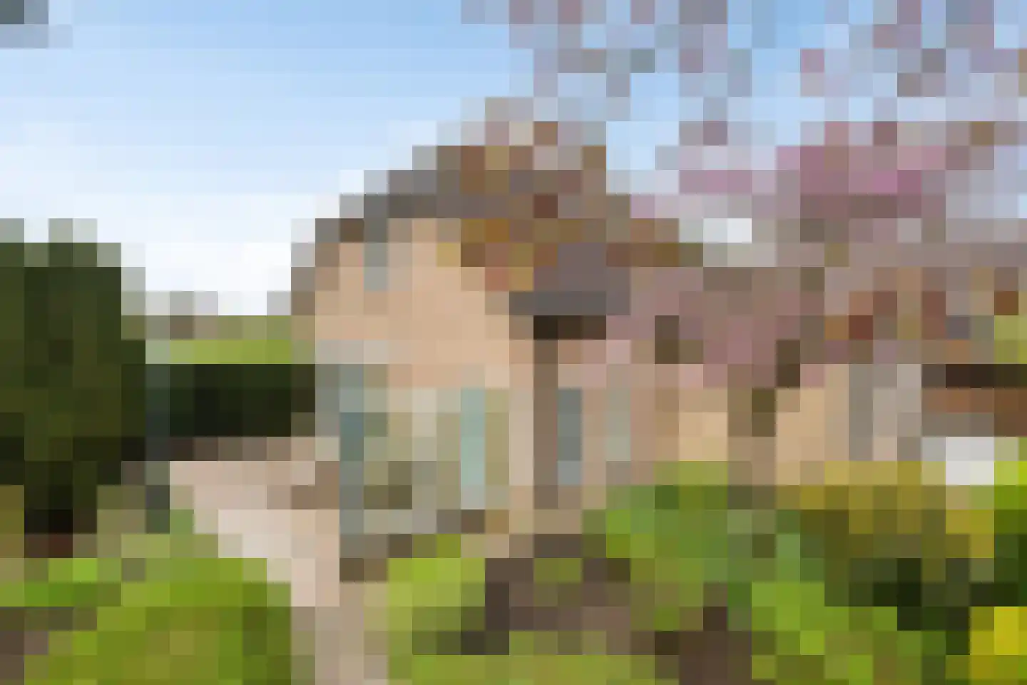 Capellegoedweg 3 Olburgen thumbnail 59