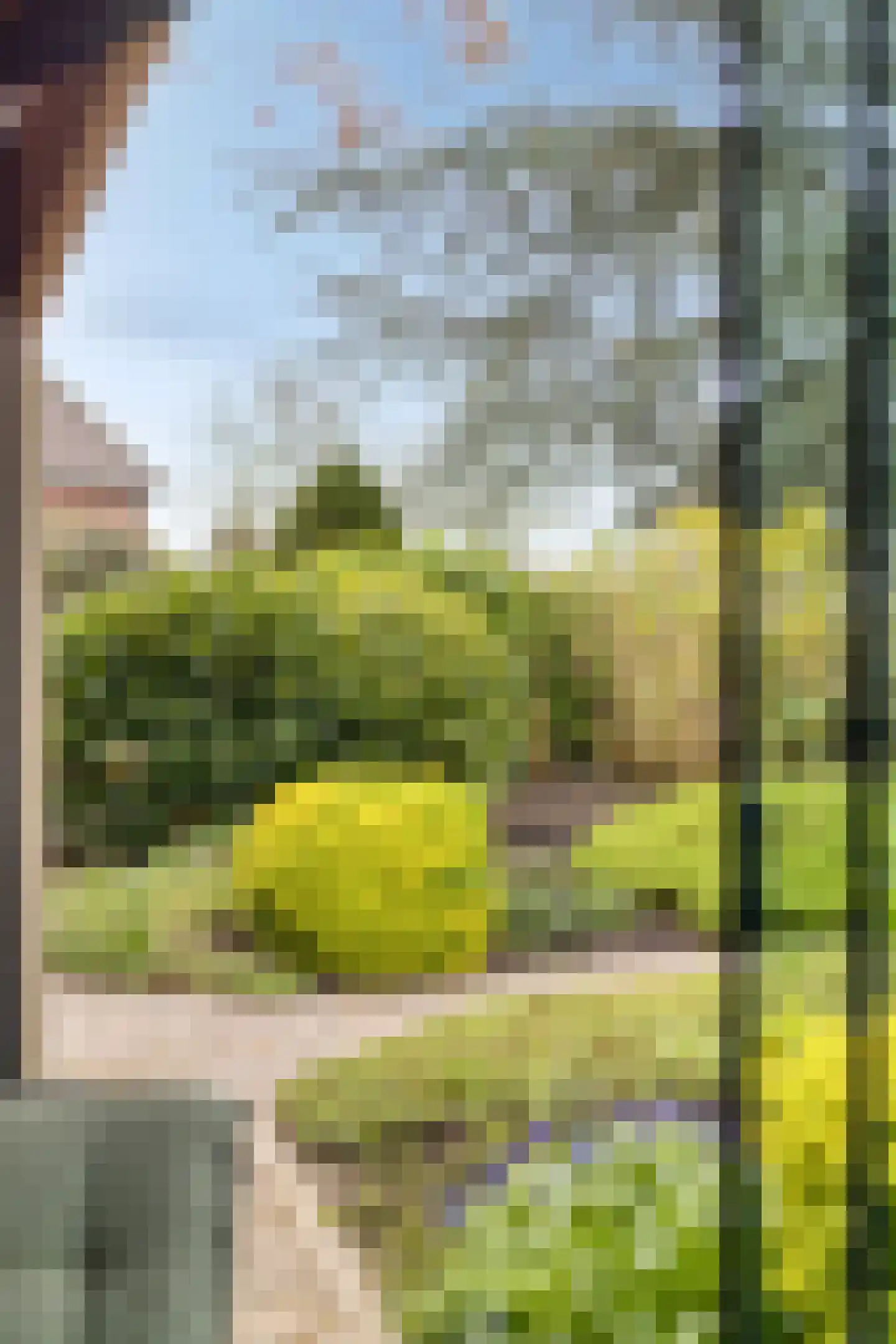 Capellegoedweg 3 Olburgen thumbnail 64