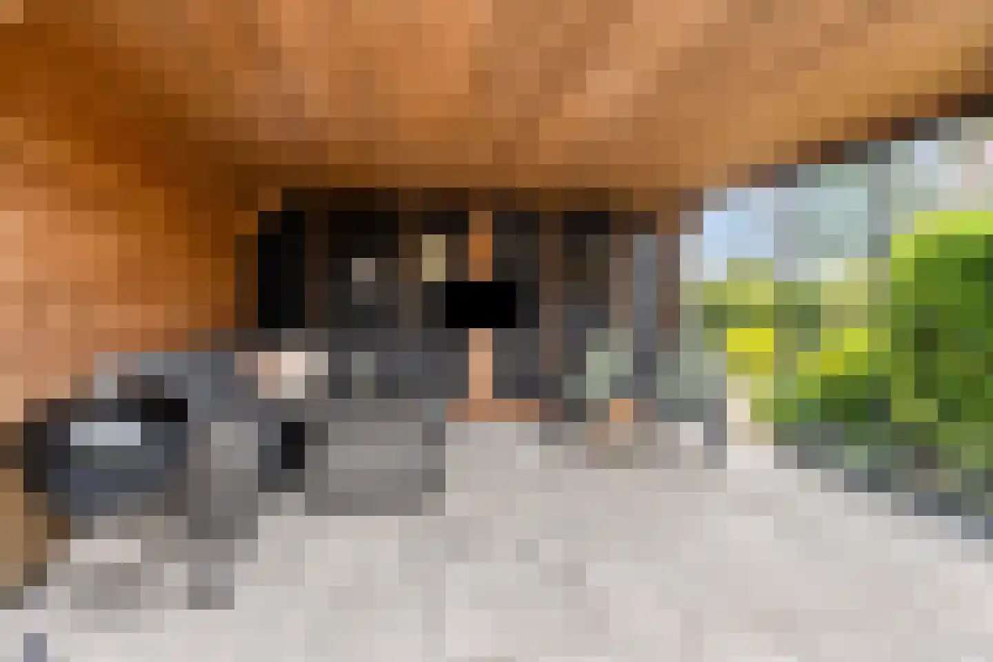 Capellegoedweg 3 Olburgen thumbnail 67