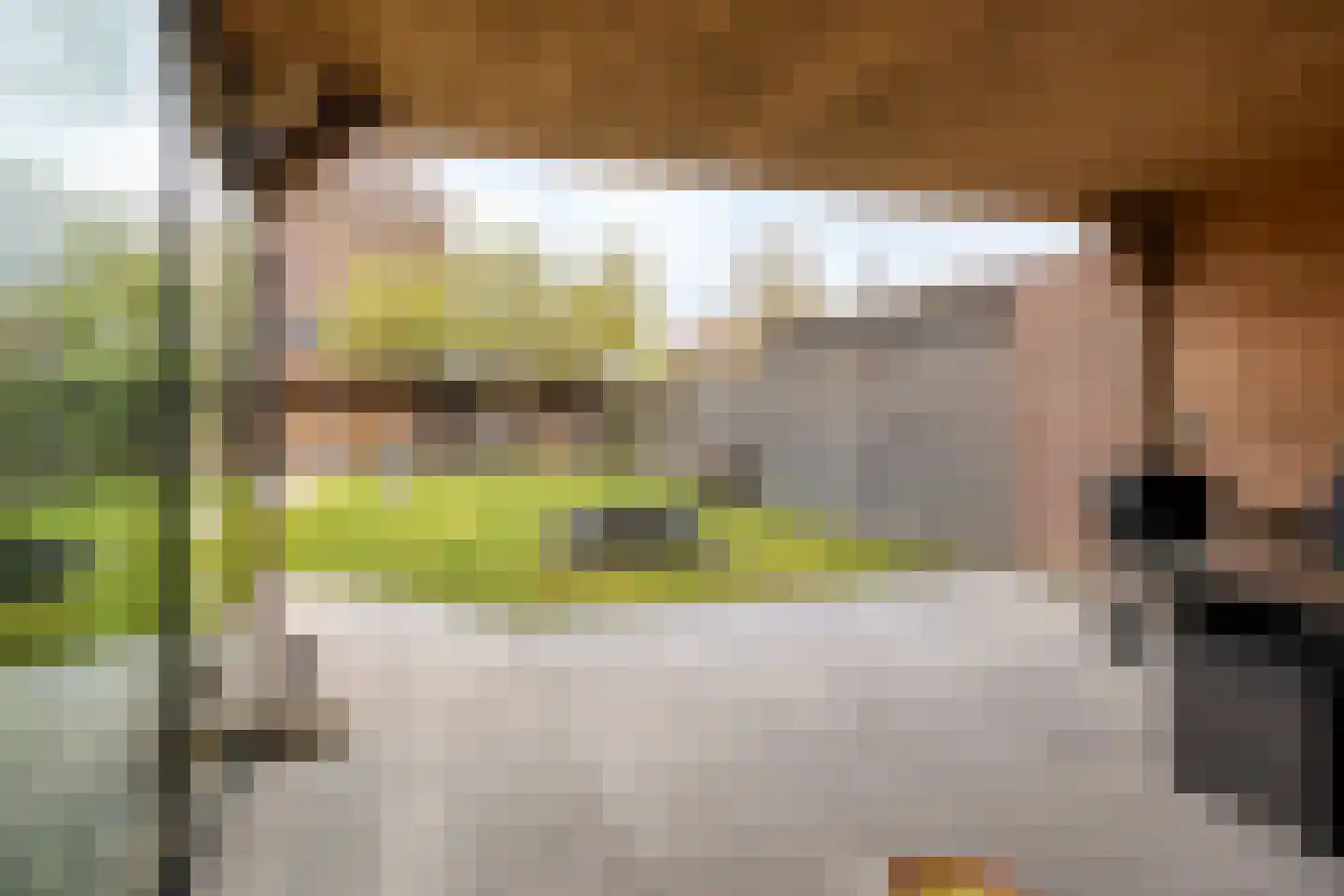 Capellegoedweg 3 Olburgen thumbnail 68
