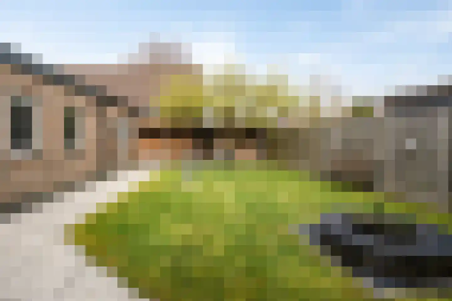 Capellegoedweg 3 Olburgen thumbnail 70