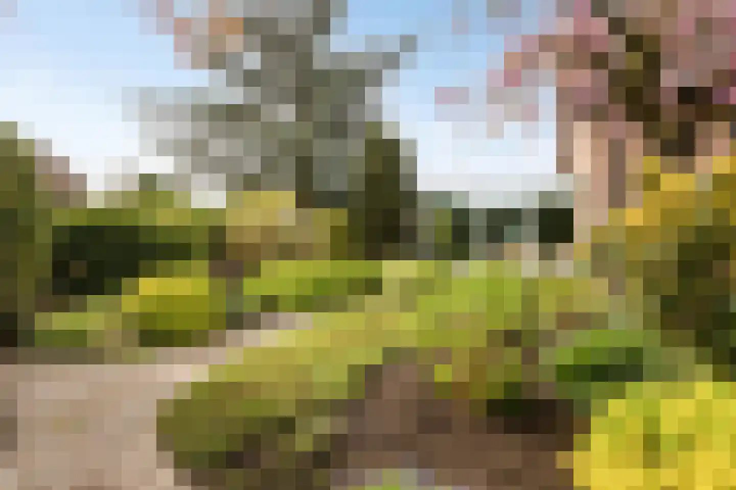 Capellegoedweg 3 Olburgen thumbnail 73