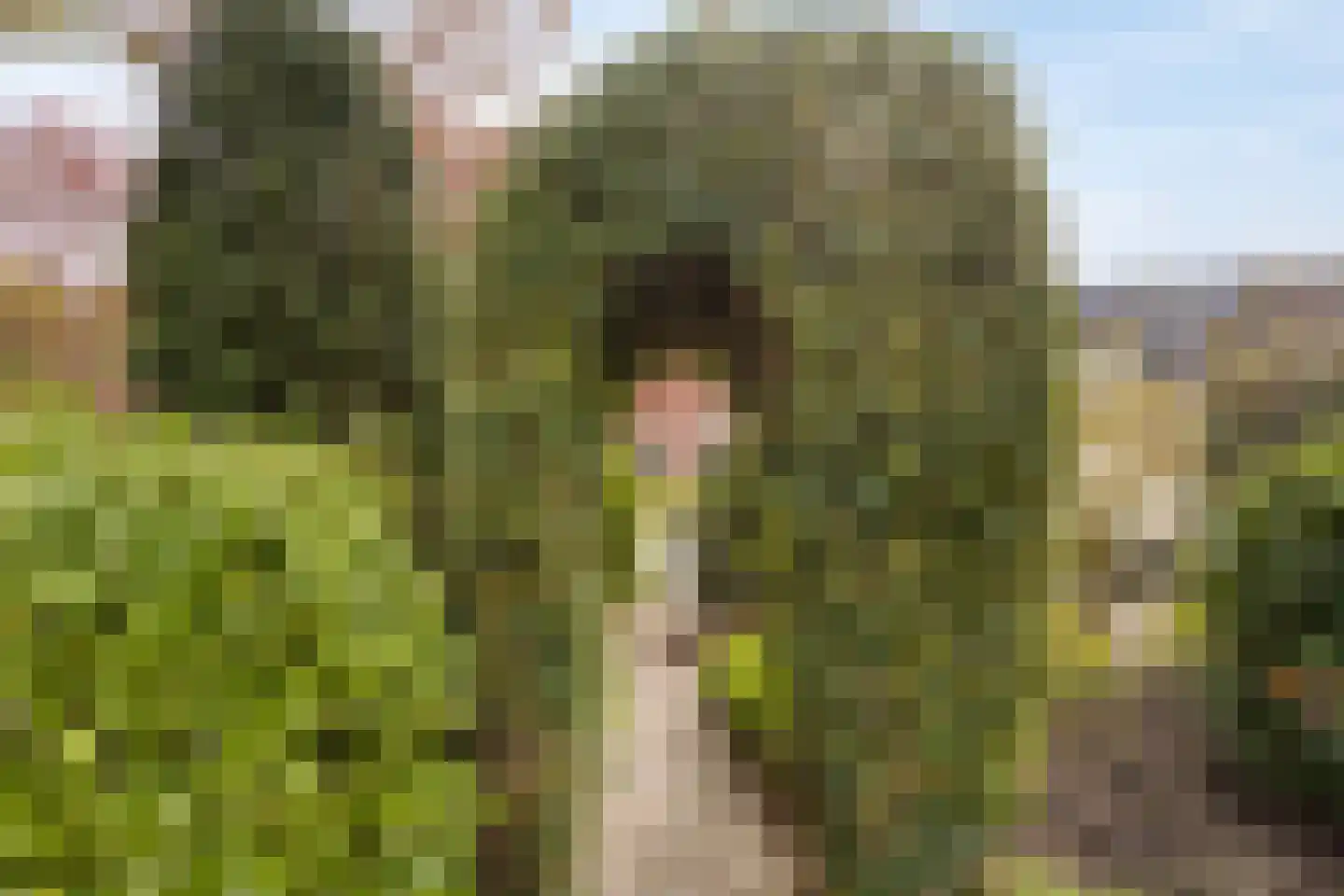 Capellegoedweg 3 Olburgen thumbnail 74