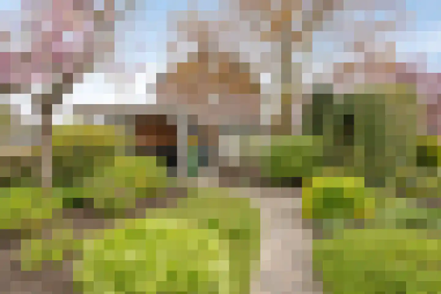 Capellegoedweg 3 Olburgen thumbnail 75