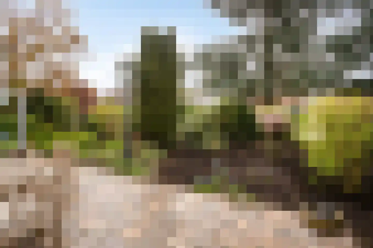 Capellegoedweg 3 Olburgen thumbnail 77
