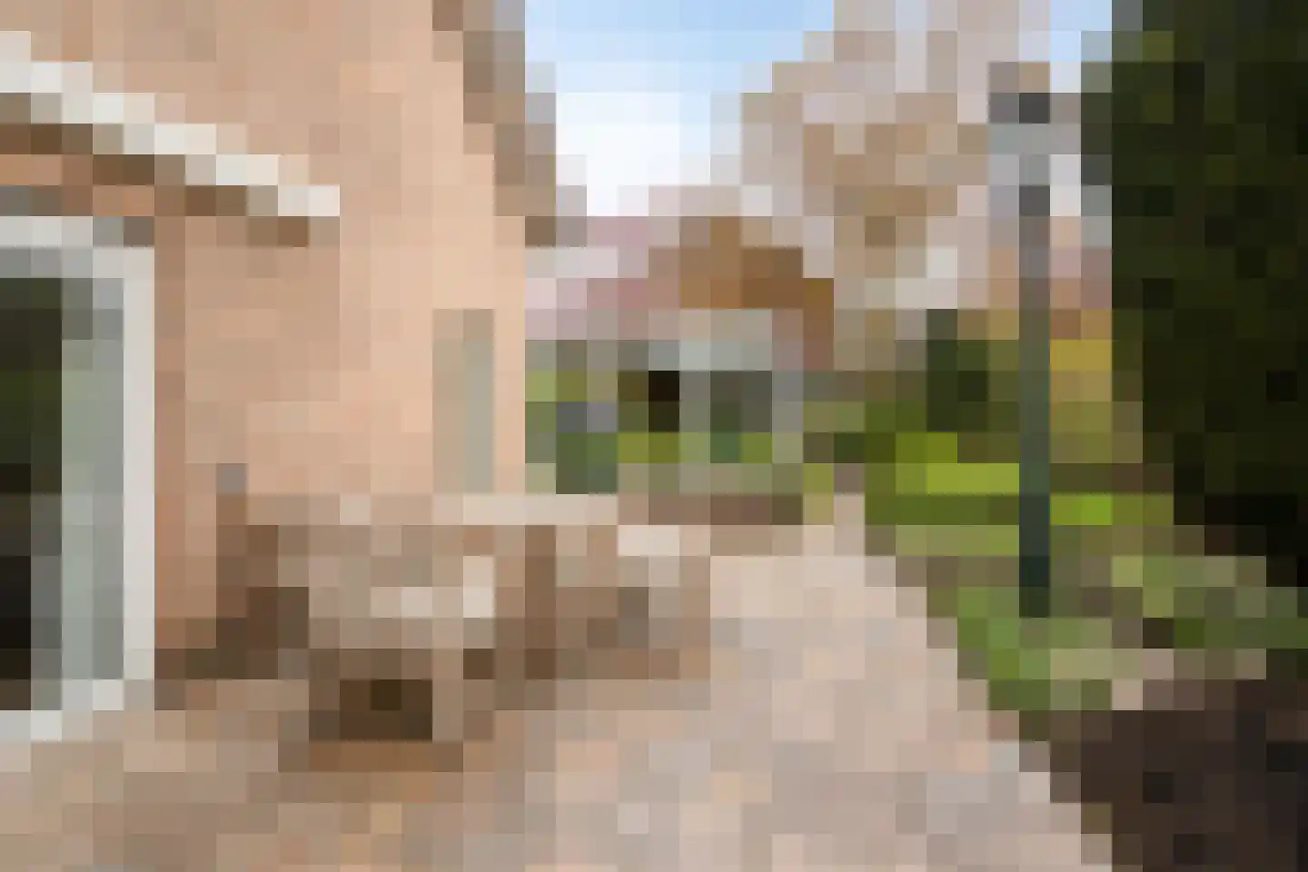 Capellegoedweg 3 Olburgen thumbnail 78
