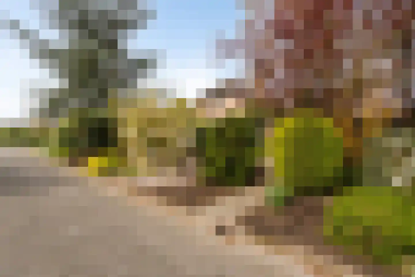 Capellegoedweg 3 Olburgen thumbnail 80