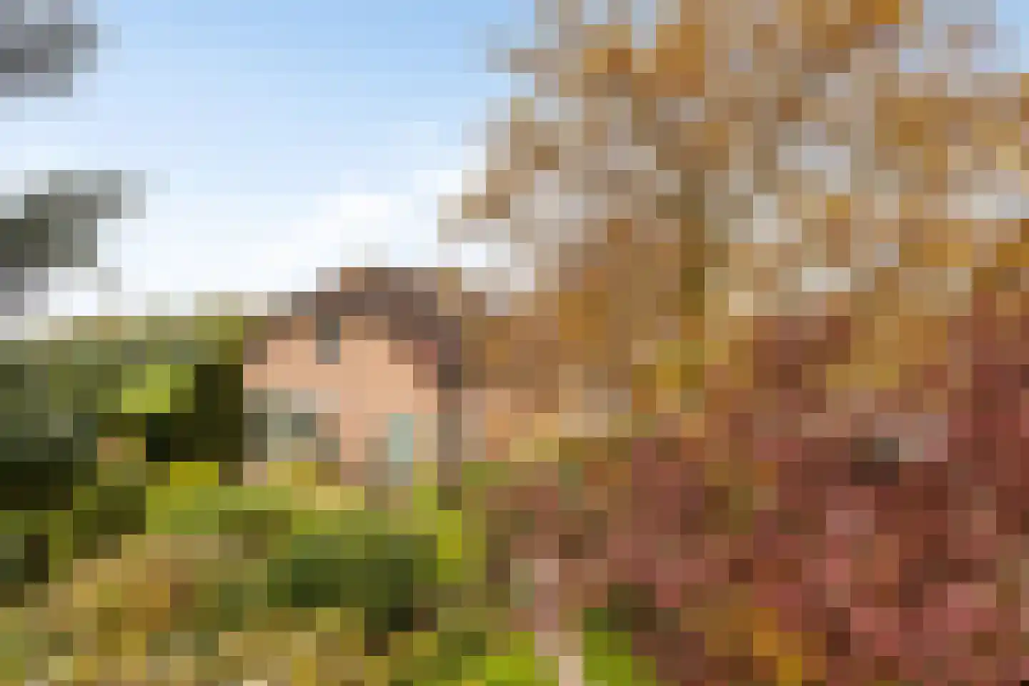 Capellegoedweg 3 Olburgen thumbnail 81