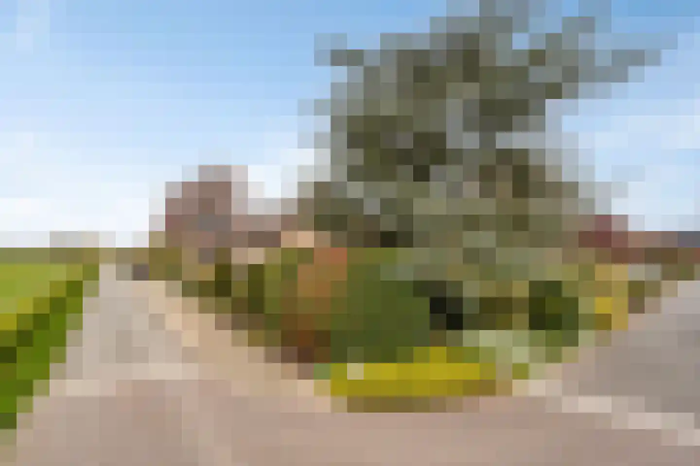 Capellegoedweg 3 Olburgen thumbnail 83