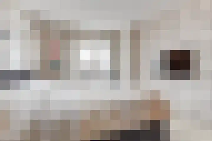 Capellehof 200 Spanbroek thumbnail 29