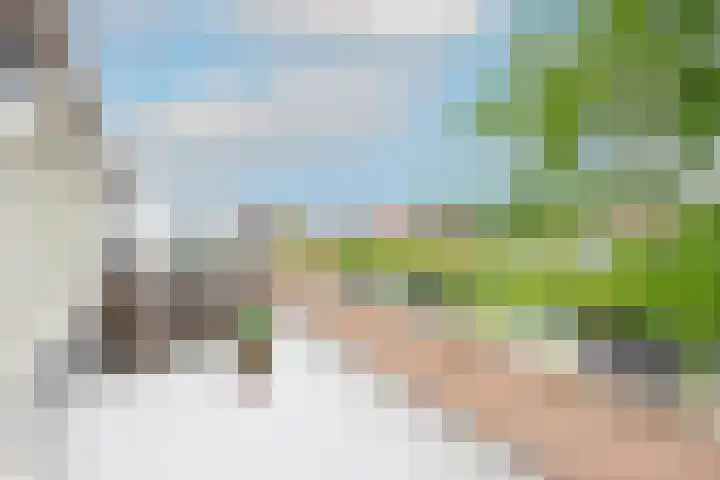 Capellehof 200 Spanbroek thumbnail 39