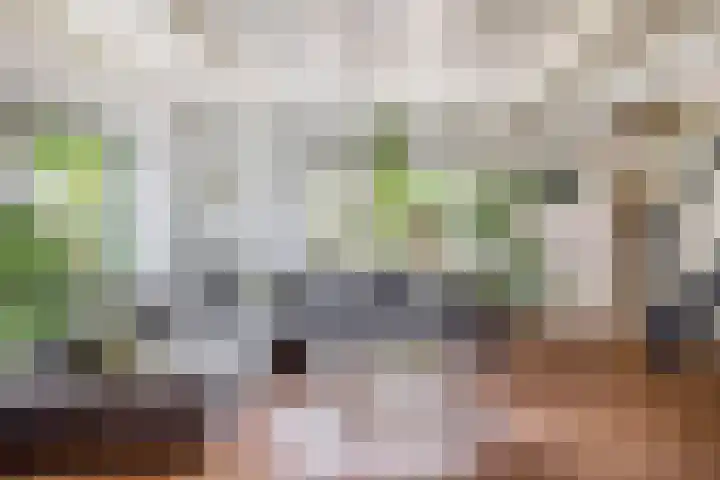 Capellelaan 34 Ammerstol thumbnail 13