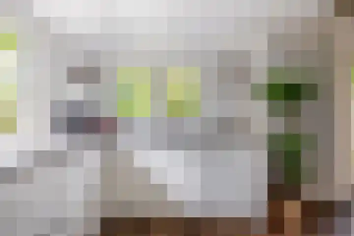 Capellelaan 34 Ammerstol thumbnail 21