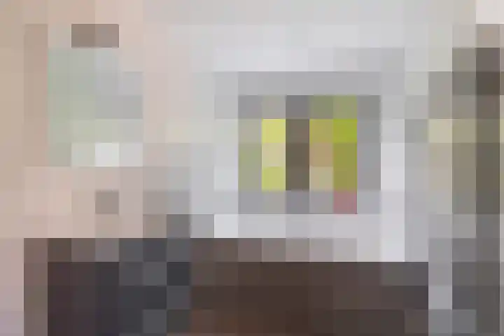 Capellelaan 34 Ammerstol thumbnail 22