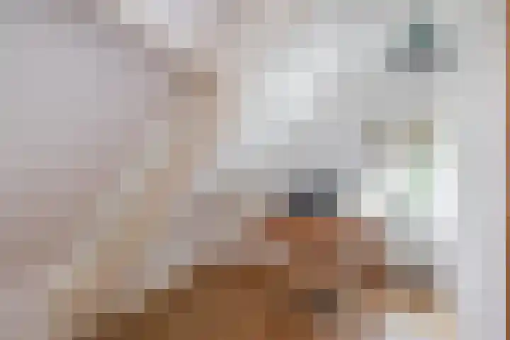 Capellelaan 34 Ammerstol thumbnail 29