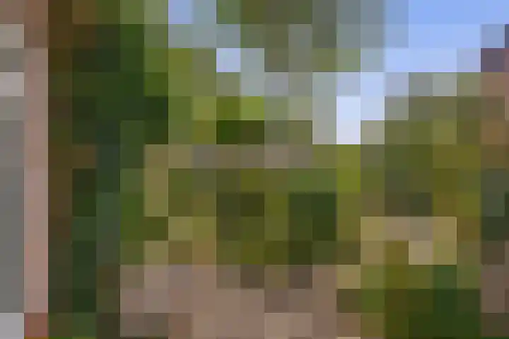 Capellelaan 34 Ammerstol thumbnail 30