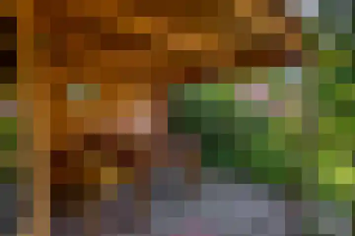 Capellelaan 34 Ammerstol thumbnail 31