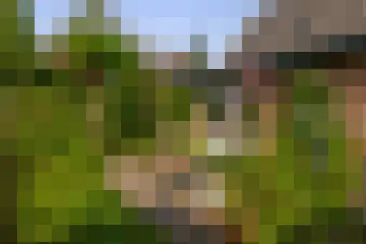 Capellelaan 34 Ammerstol thumbnail 33