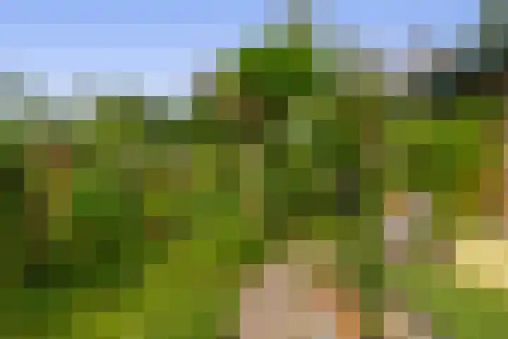 Capellelaan 34 Ammerstol thumbnail 34